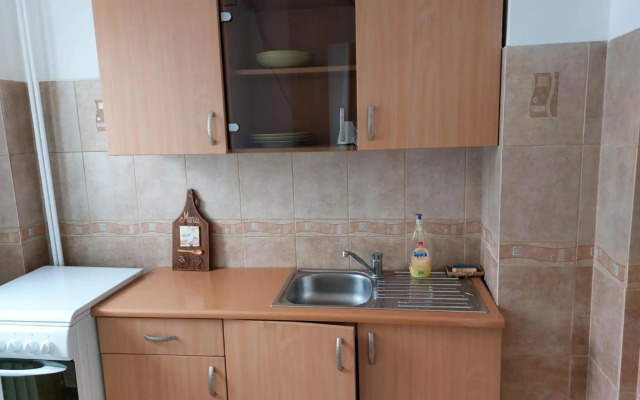 Piata Victoriei Arcul de Triumf Studio Apartment