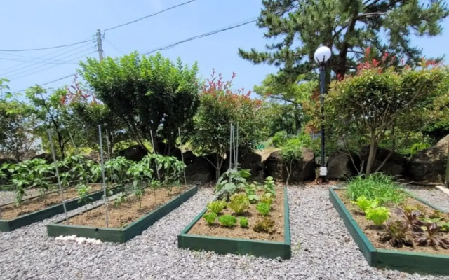 Jeju Hyeopjae Bliss Pension