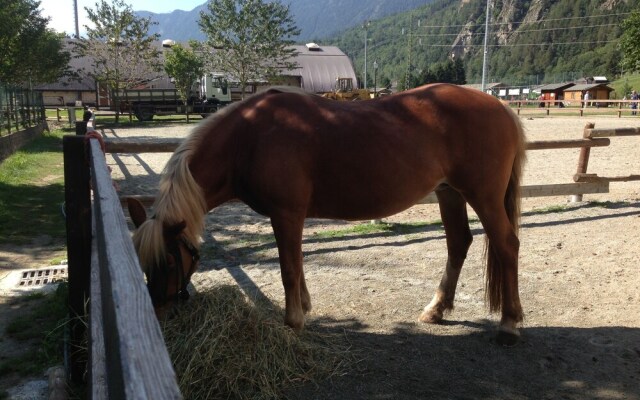 Ma Maison Panoramique