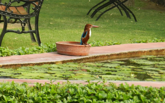 Jai Niwas