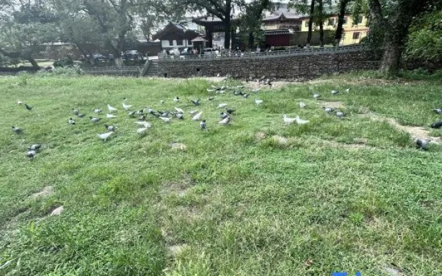 Xiyue LOFT Art Cinema apartment Hotel