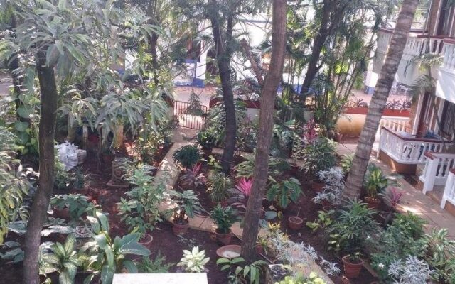 Tropicano Beach Resort