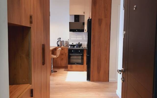 Furnished Cozy & luxury Flat