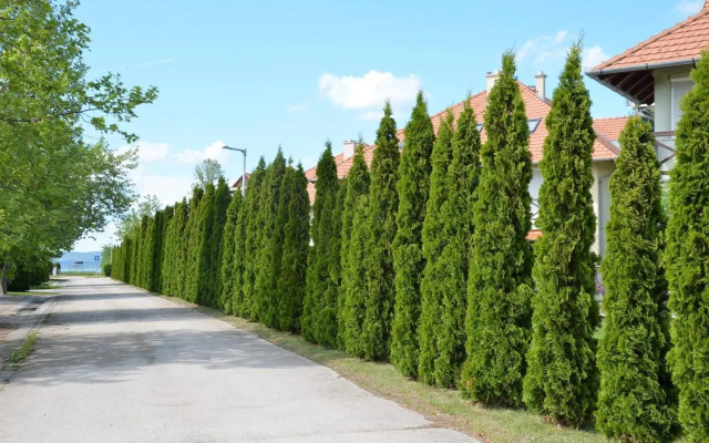Vadszilva Apartman