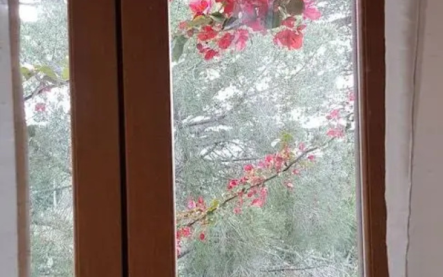 L'Orca Di San Gavinu