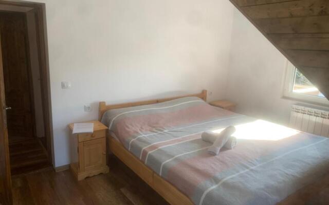 Rustic House Busteni