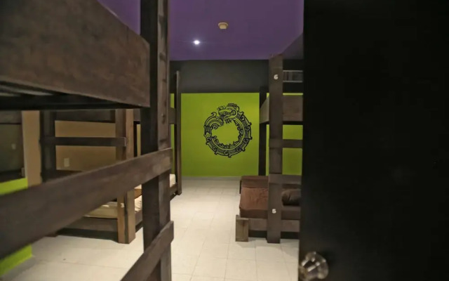 2tank Dive Hostel Cozumel