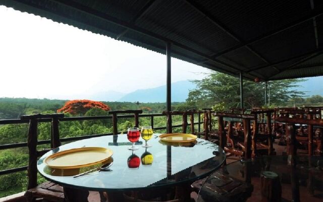 The Tiger Paw Resort