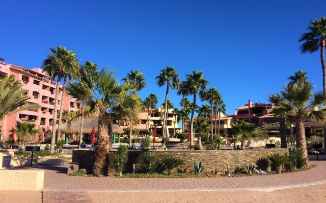 Pinacate 315 by Kivoya