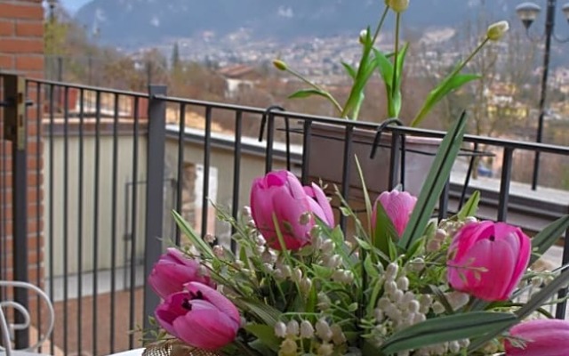 B&B Tulipano