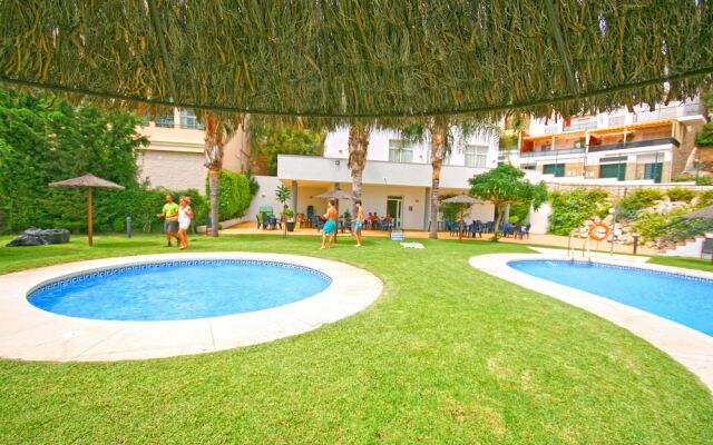 Palmeras GrupalMálaga