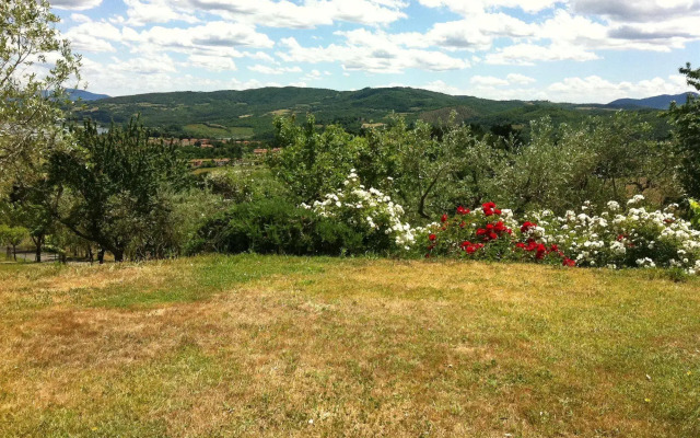 Poggio agli Ulivi