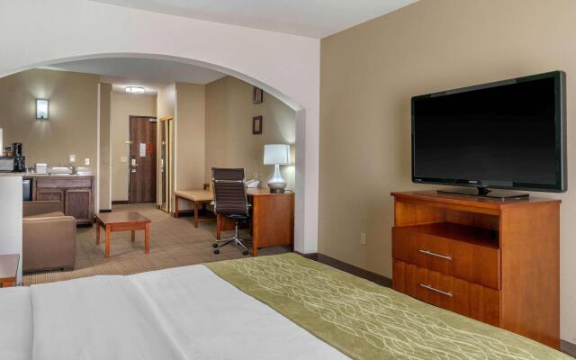 Comfort Inn & Suites Sacramento - University Area