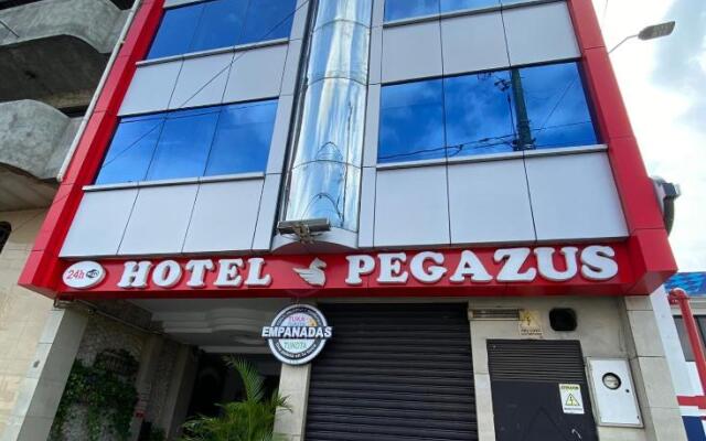 Hotel Pegazus