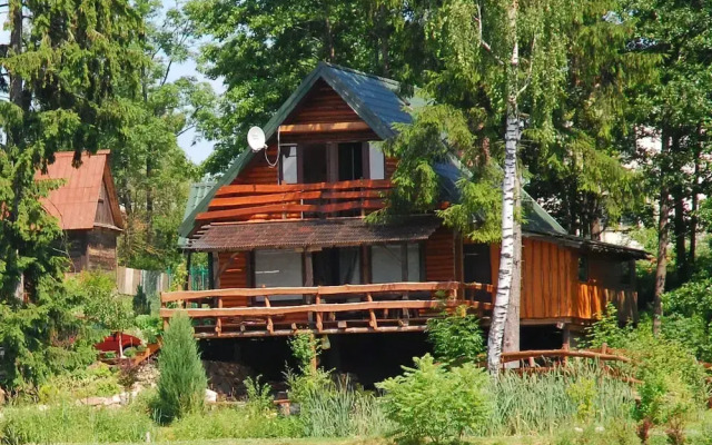 Rustic Riverside Cabin in Forest