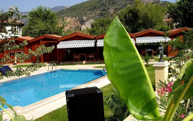 Murat Pasa Premium