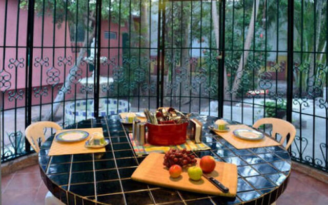 Bed & Breakfast Garden