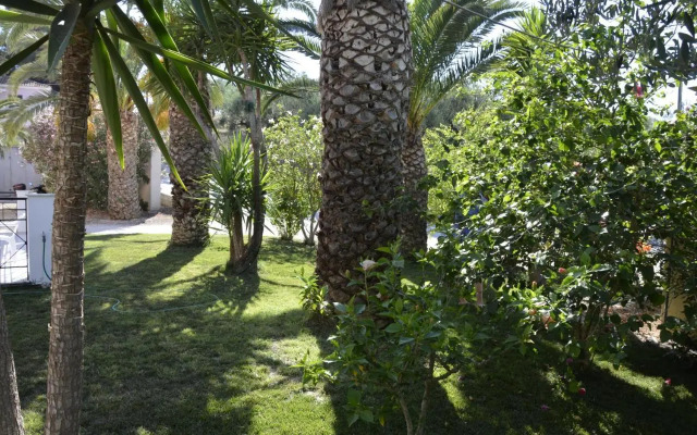 Olive Grove Apts
