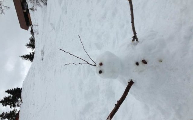 Le Balcon de Valberg