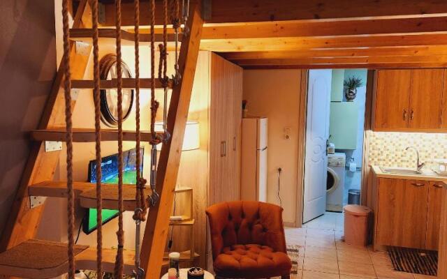 Stylish Luxury Loft Apartment Sofia