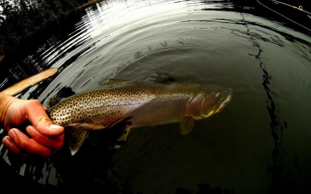 The Cabin at Moon Dance
