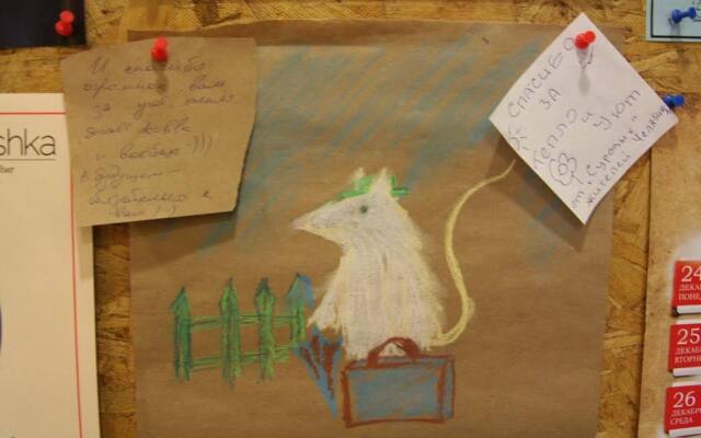 House Mouse Hostel