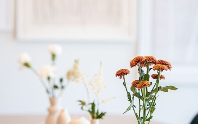 Western Star by Revelstoke Vacations