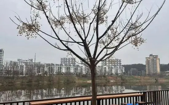 Tunxi Old Street in Mount Huangshan · Up Street Designer Homestay