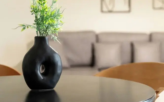Elysee apartment 2