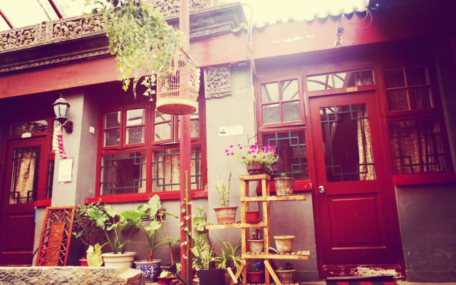 Three Legged Frog Hostel