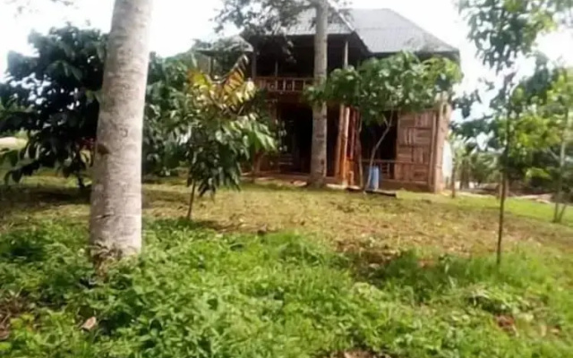 Jungle lodge Kibale