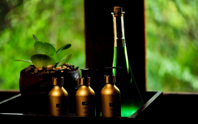 Elephant Plains Game Lodge
