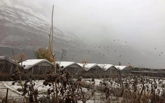 TIH Buckwheat Root Camp - Turtuk