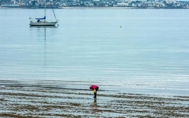 Best Western Hôtel Cap Coz