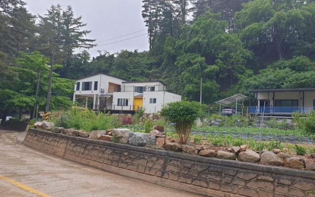 Jeongseon Pine Careville