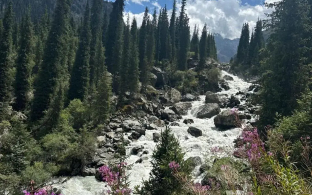 Waterfall in the yard