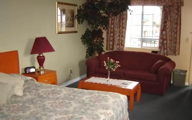 Tulip Inn