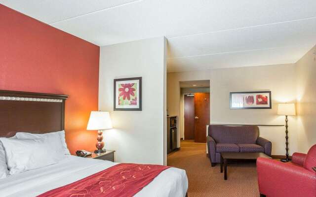 Comfort Suites Manchester