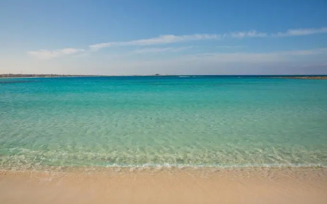 Nirvana Wellness Huts-White Bay