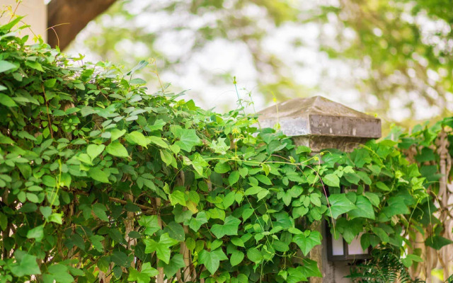 Gulangyu Phoenix Hotel