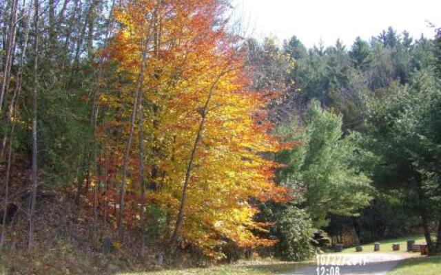 Pine Crest Motel And Cabins