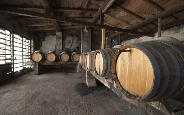 Tenuta Montespertoli