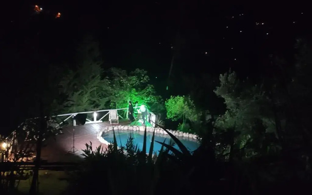Altai Oasis Eco lodge