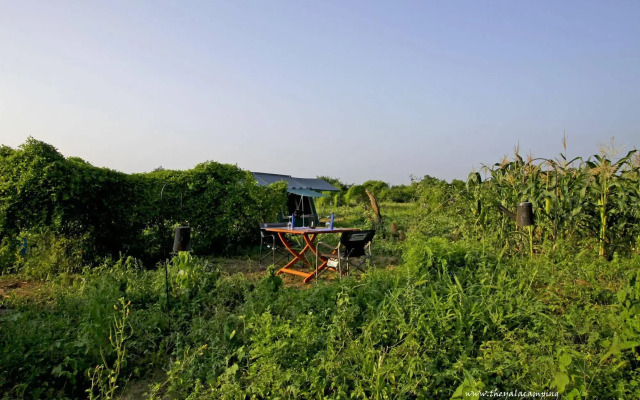 The Yala Camping