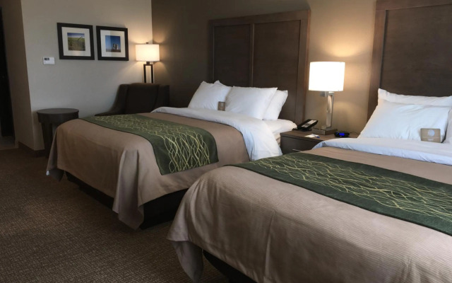 Comfort Inn & Suites