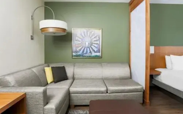 Hyatt Place Waco - South