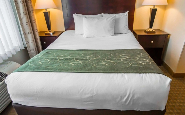 Comfort Suites University Area Notre Dame - South Bend