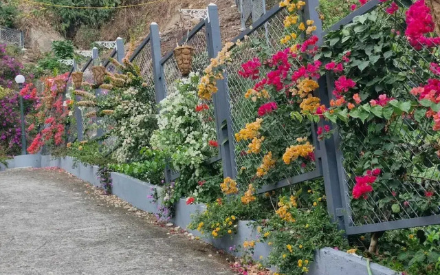Kacholam Serviced Villa