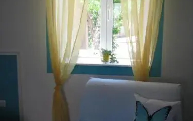 Apartments and Room Lemon