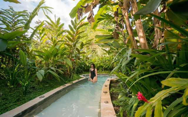 Casa Luna Hotel & Spa
